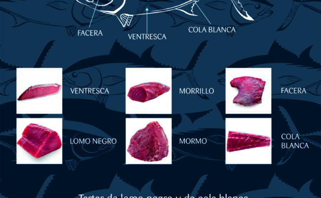 Jornadas del Atún de Almadraba